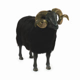 Classic Ram - Cast Iron & Gold Brass Horns With Black Fleece
