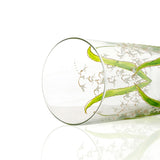 Lilly Of The Valley Clear Highball Tumbler Set