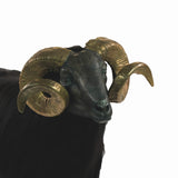 Classic Ram - Cast Iron & Gold Brass Horns With Black Fleece