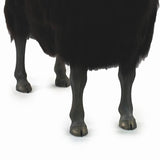 Classic Ram - Cast Iron & Gold Brass Horns With Black Fleece
