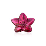 Bloom Collection Peony Crystal Flower