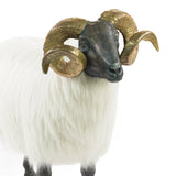 Classic Ram - Cast Iron & Gold Brass Horns With White Fleece